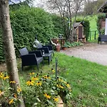 Waldblick