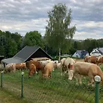 Апартаменты Waldblick
