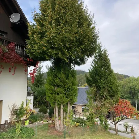 Apartment Waldblick *