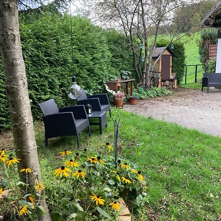 Waldblick