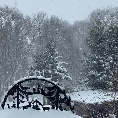 Waldblick Lejlighed Tannenberg