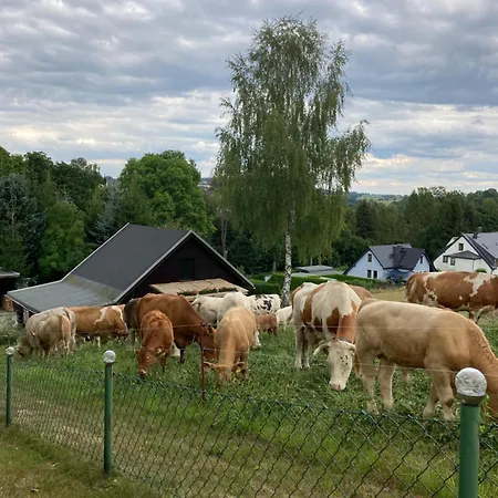Apartment Waldblick