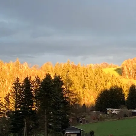 Waldblick Апартаменты *