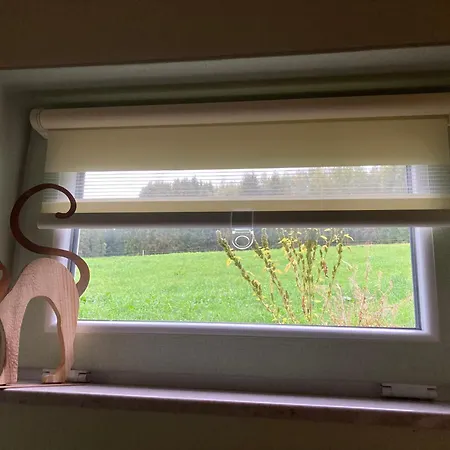 Waldblick Tannenberg