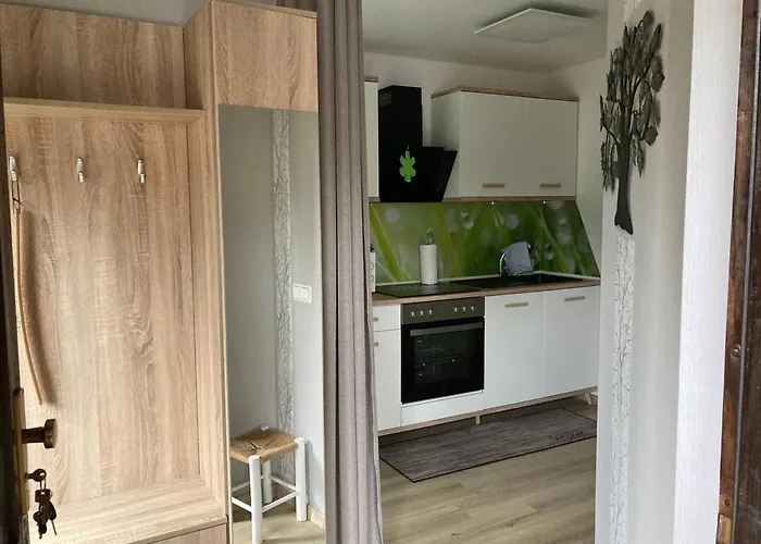 Waldblick Apartament Tannenberg