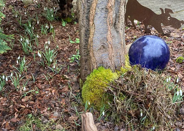 Apartament Waldblick Tannenberg