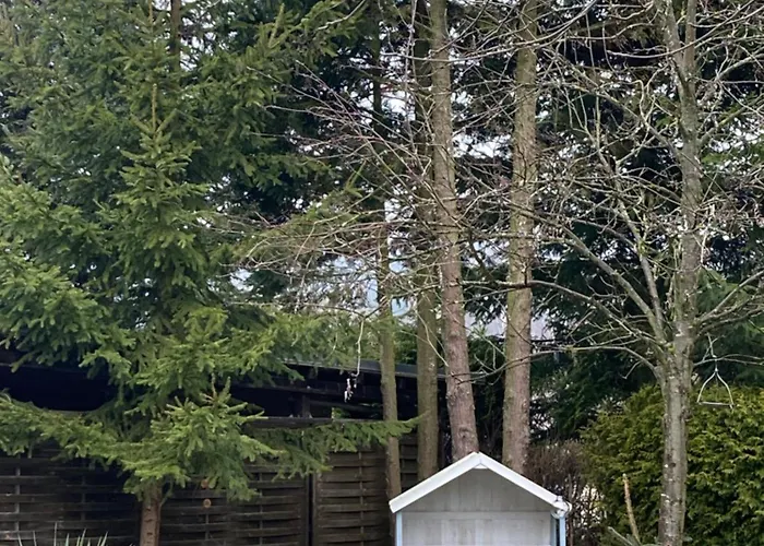 Apartament Waldblick Tannenberg