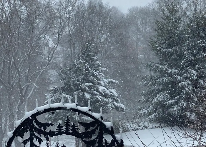 Waldblick Apartament Tannenberg
