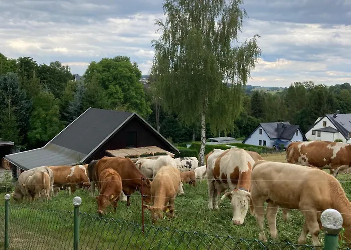 Apartament Waldblick