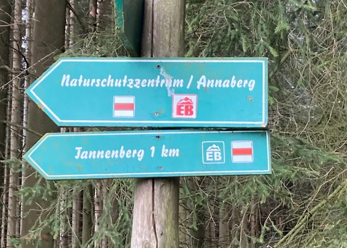 Apartament Waldblick Tannenberg