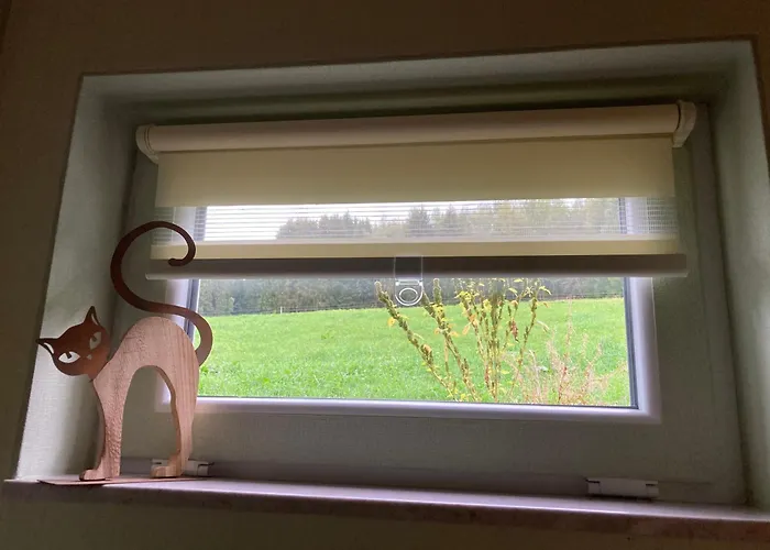 Waldblick Tannenberg